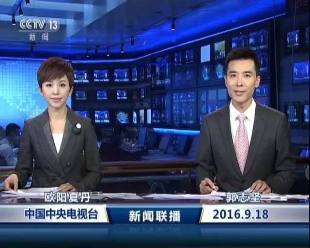 哈尔滨新闻网东北网：扎根黑土地的民生资讯守护者